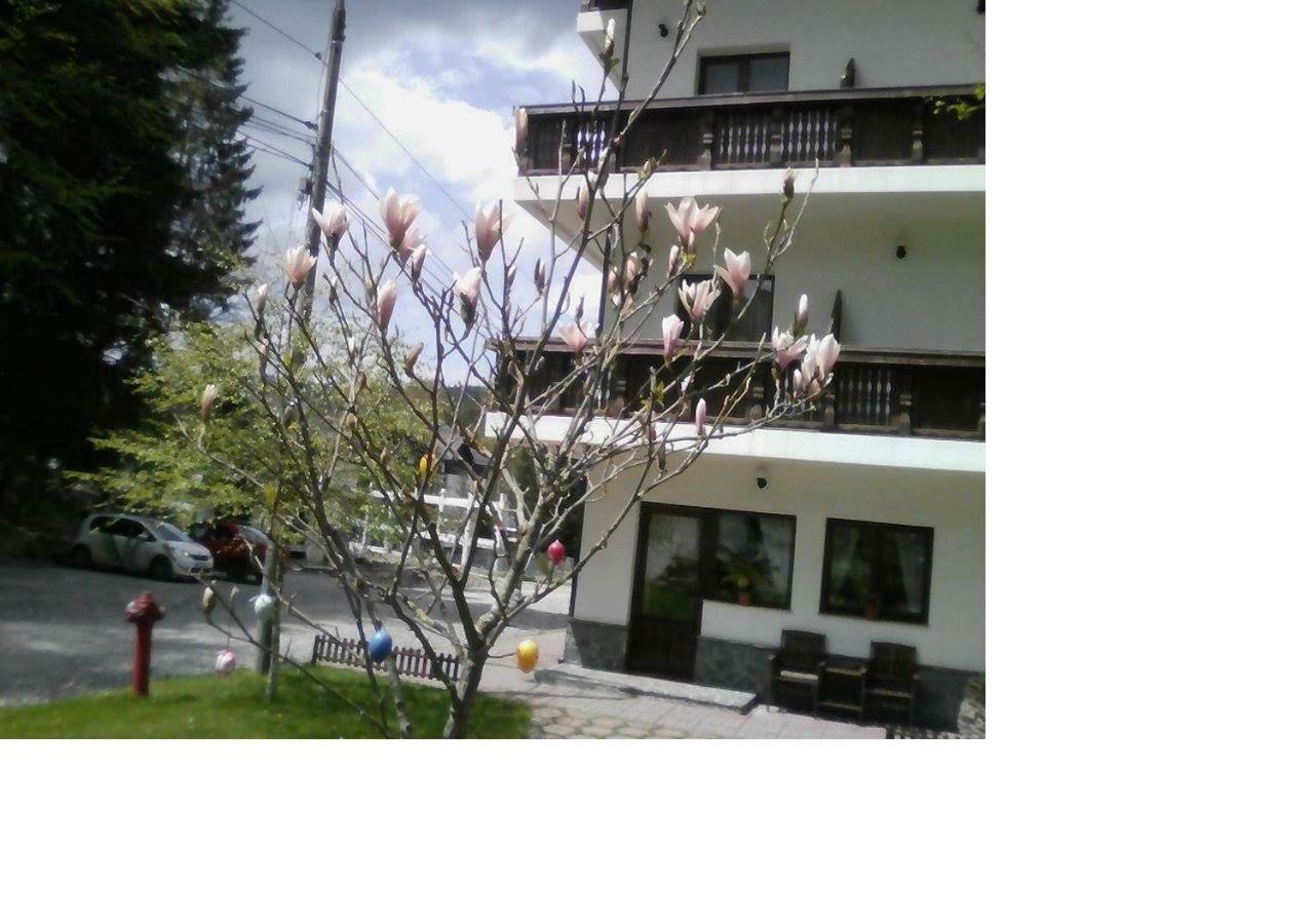 Pensiunea Anotimpuri Predeal Exterior foto